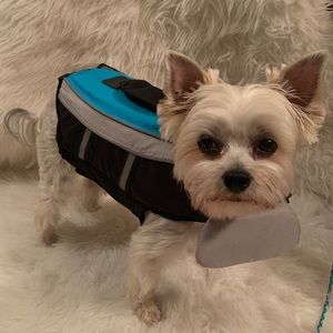 Dog Life Vest S
